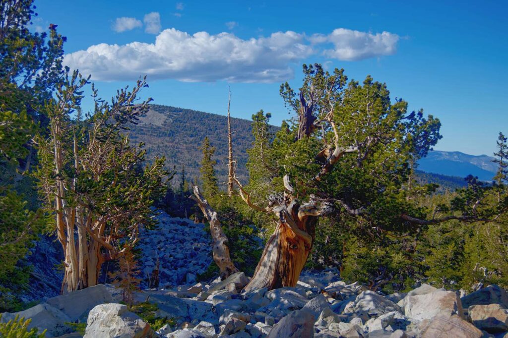 Great Basin Alpine Trail