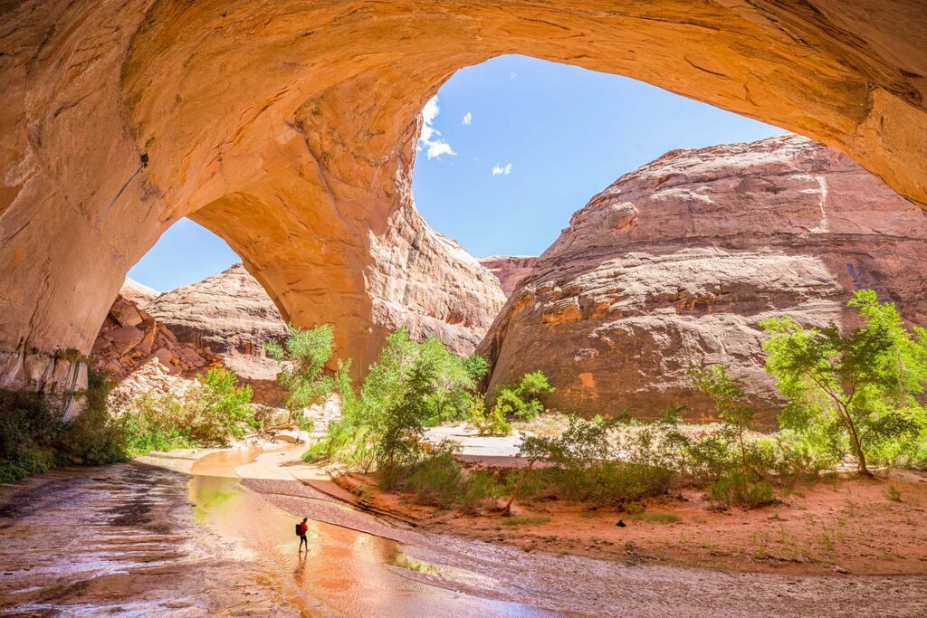 Coyote Gulch