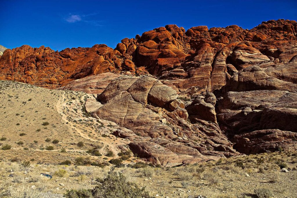 Redrock Canyon Calico 1