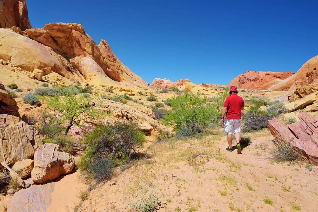 Valley of Fire hiking