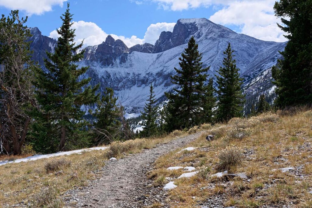 Wheeler Peak trail